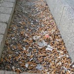 Butts_litter
